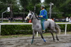 Immagine <b>REG_9168</b>